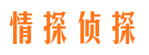 岢岚调查公司